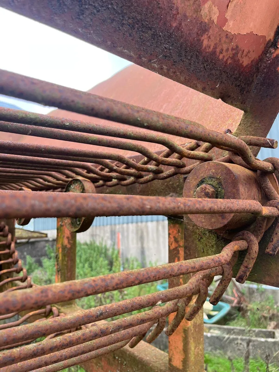 Beet cleaner loader - Image 4