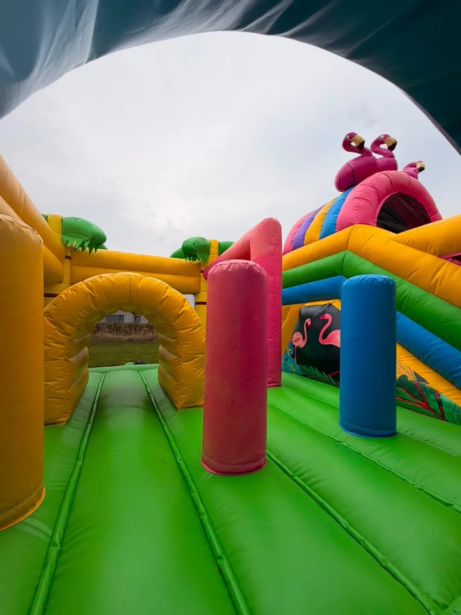 Bouncy Castle - Image 2