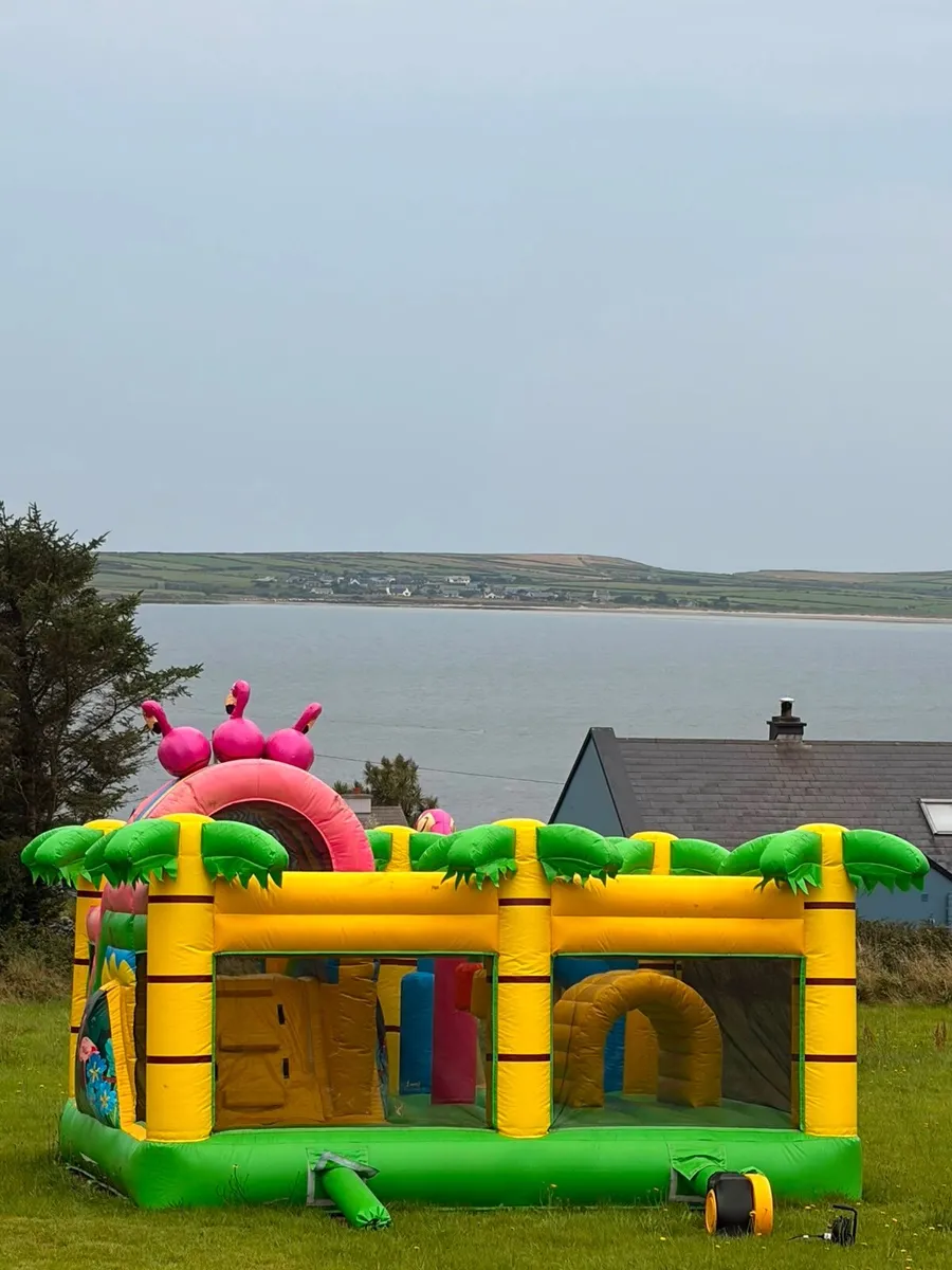 Bouncy Castle - Image 4