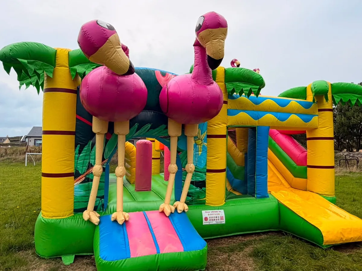Bouncy Castle - Image 3
