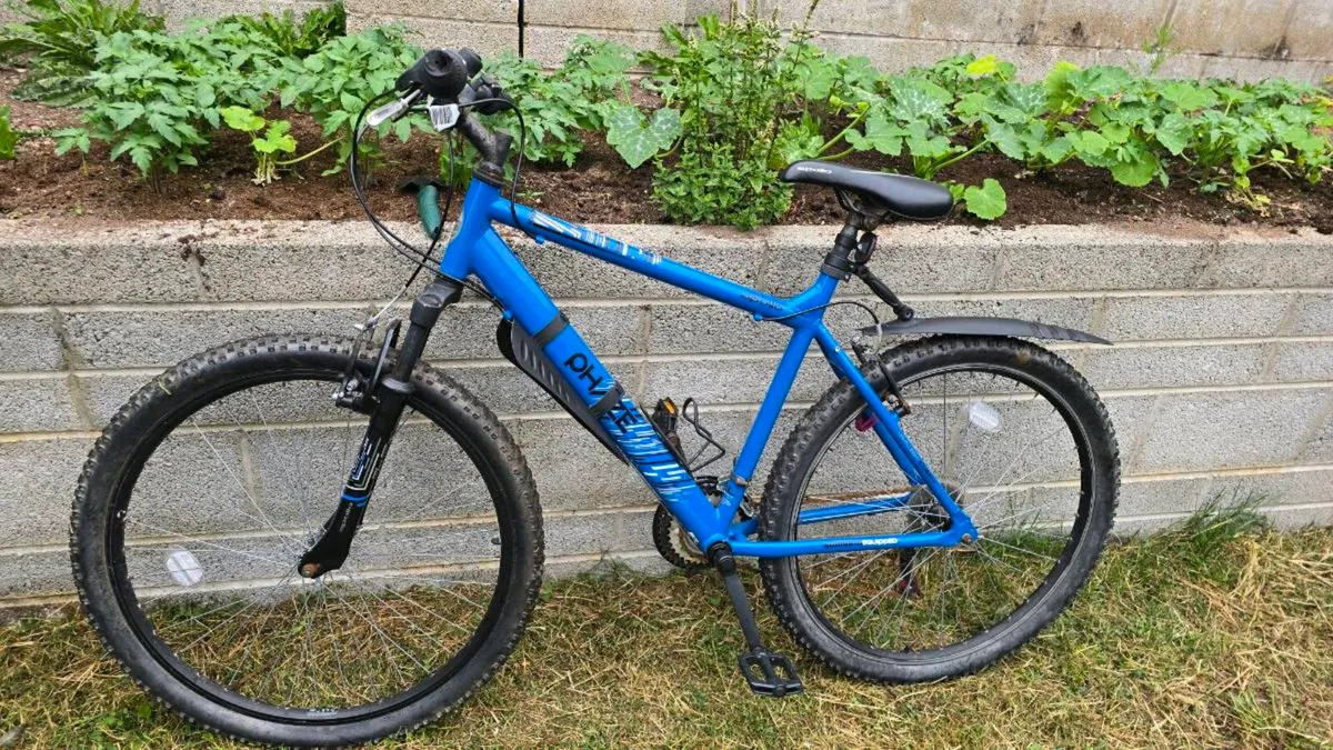 Apollo Phaze Mountain Bike - Image 1