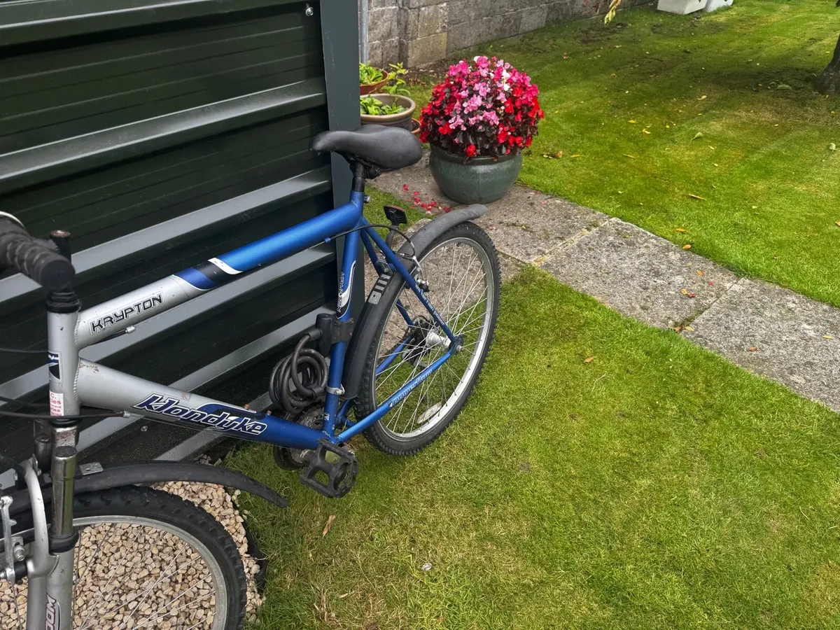 Mountain Bike - Image 2