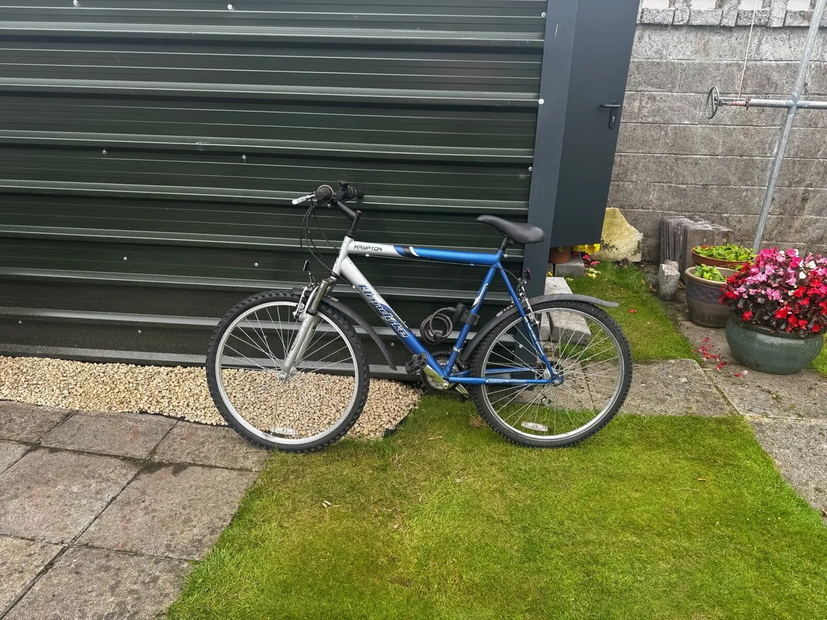 Mountain Bike - Image 1