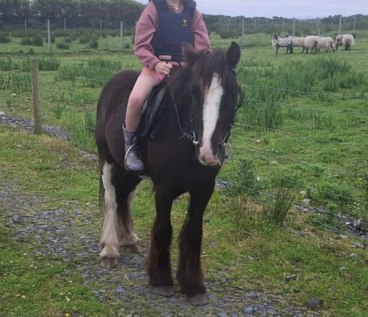 Fantastic Kids Pony - Image 1