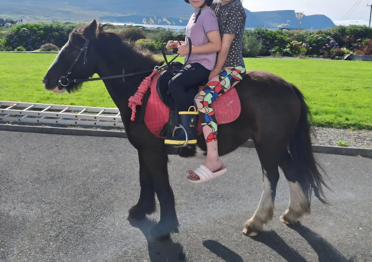 Fantastic Kids Pony - Image 4
