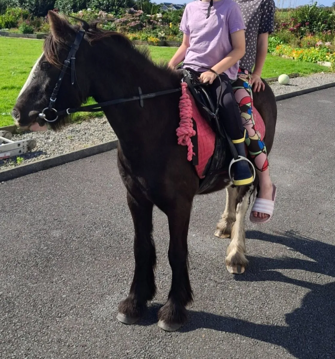 Fantastic Kids Pony - Image 2
