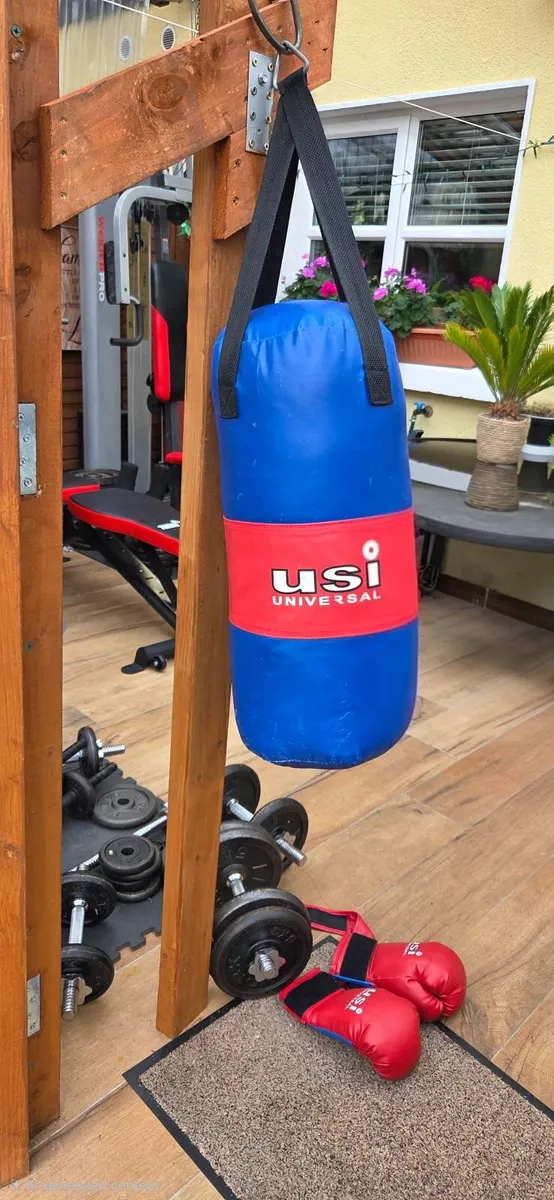 Gym - Image 3