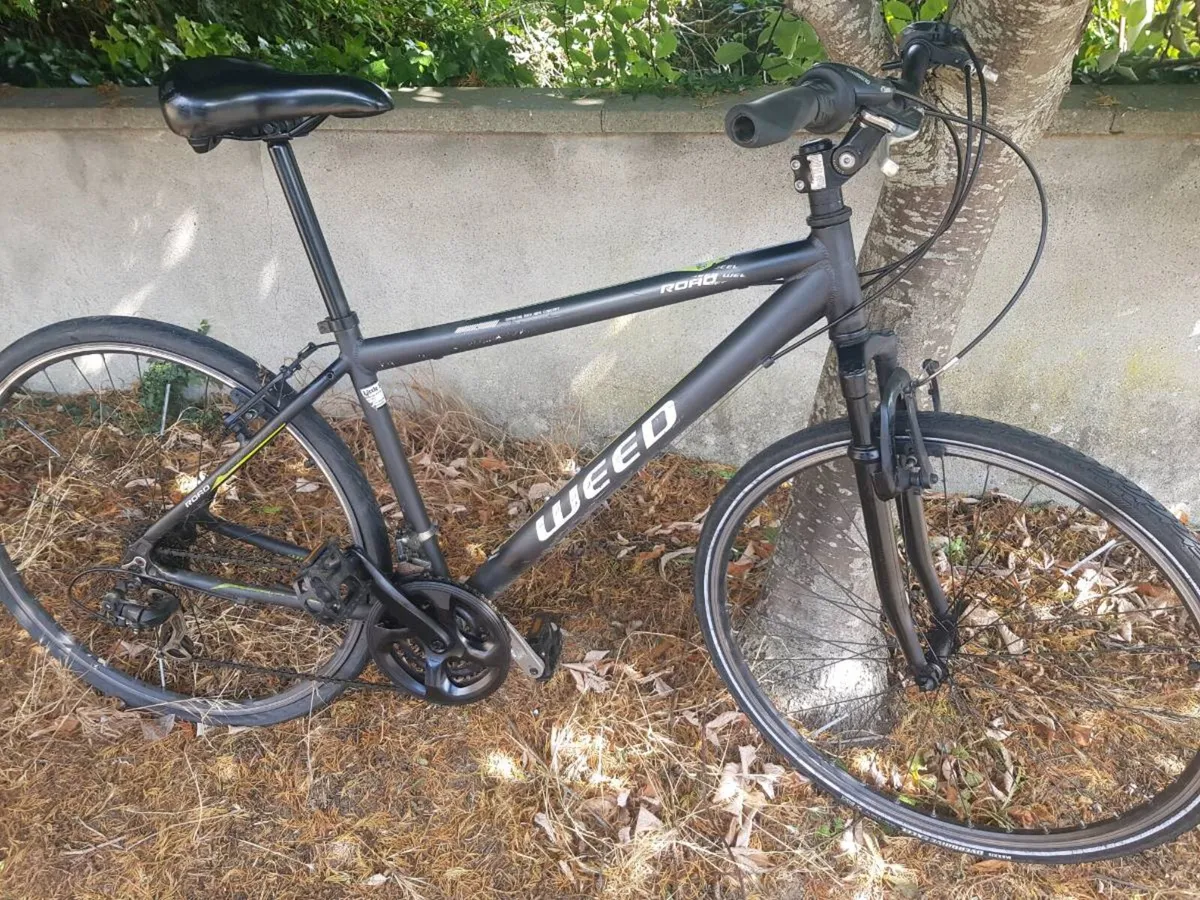 Hybrid bike
