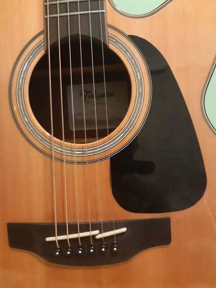 Acoustic - Image 4