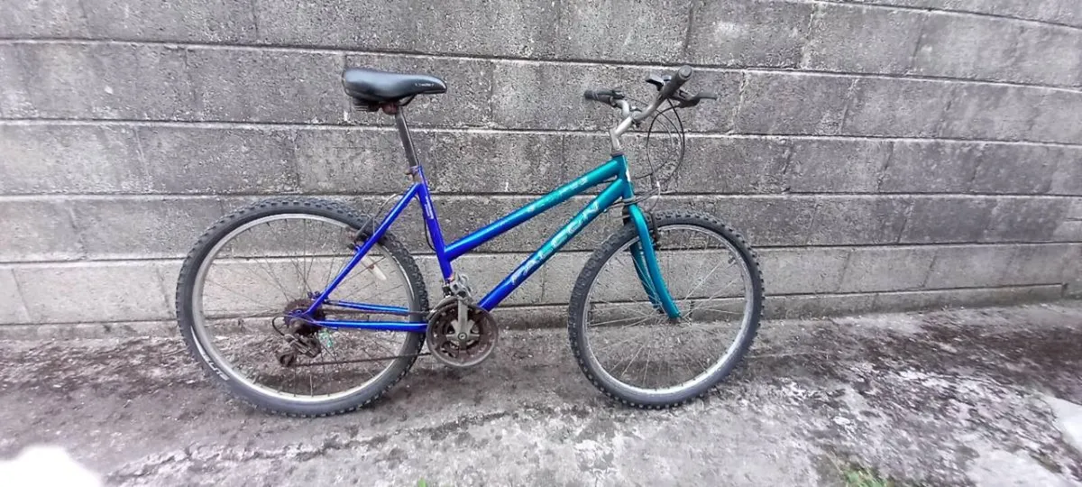 Adult bike - Image 1