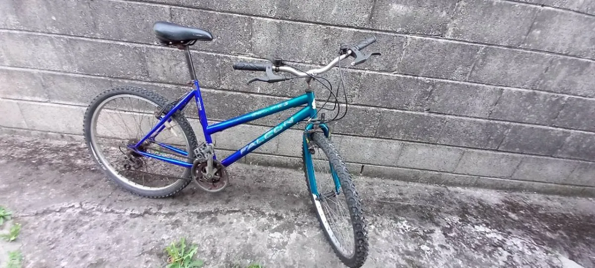 Adult bike - Image 4