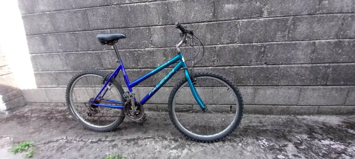 Adult bike - Image 2