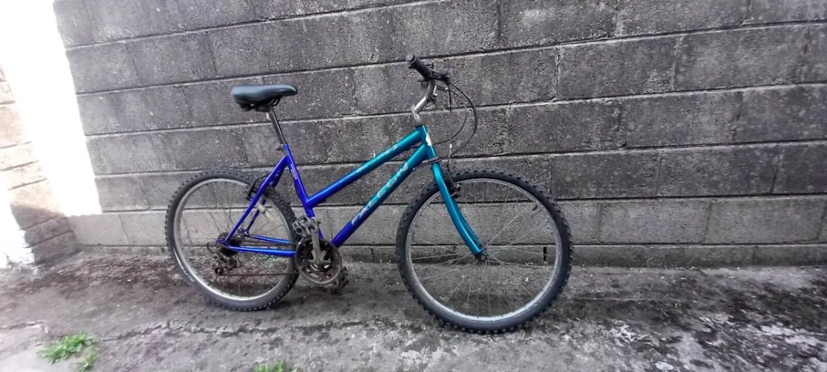 Adult bike - Image 3