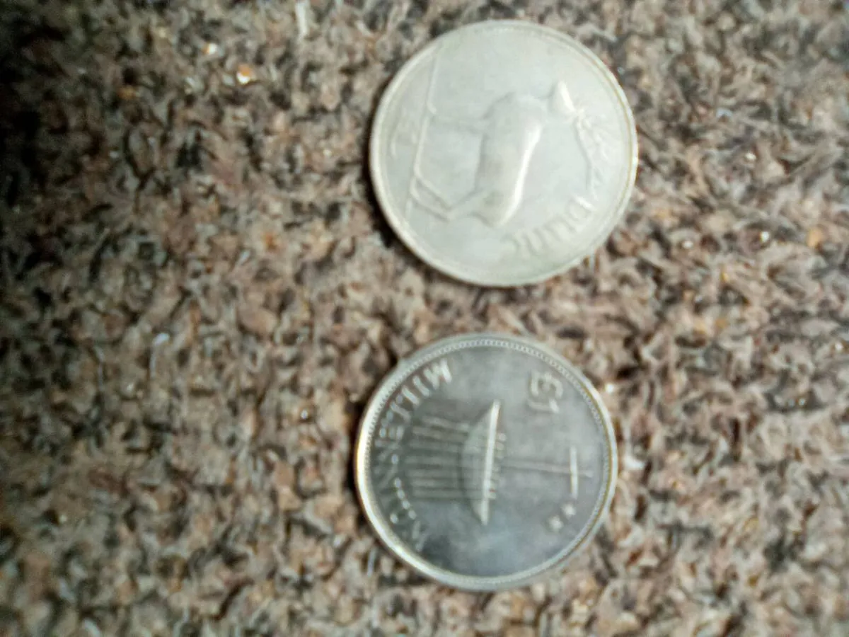 1990.   AND.    2000.    IRISH.   POUND.   COINS. - Image 2