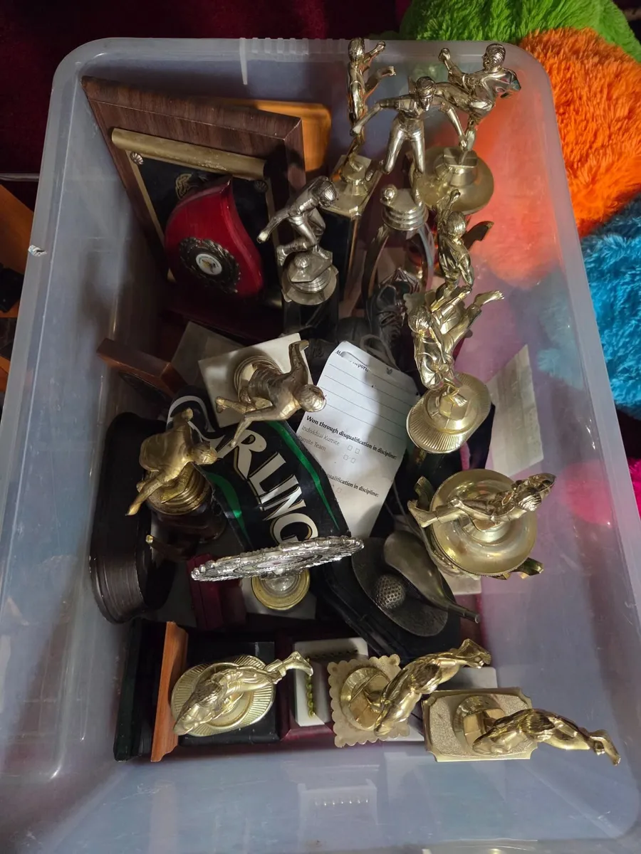 Sports trophies - Image 1