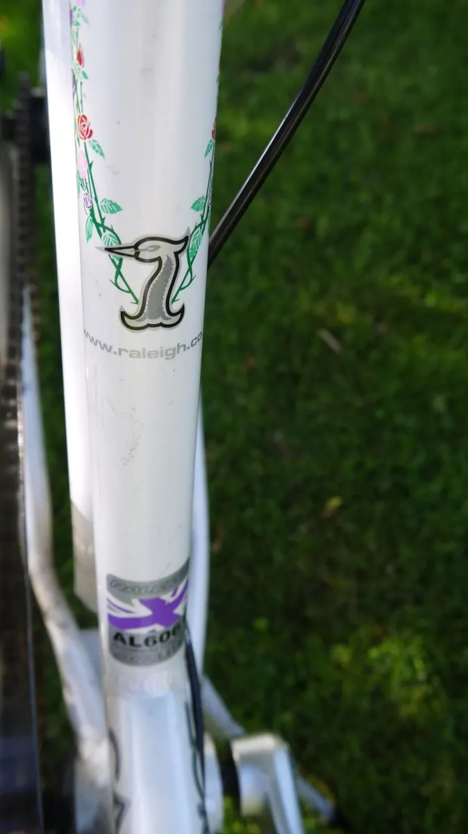 Raleigh Caprice - 17" frame - Image 3