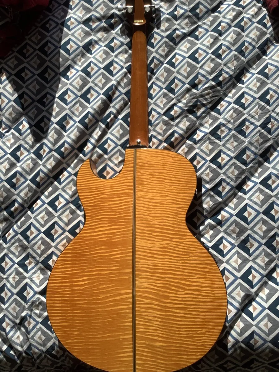 1986 Washburn Monterey - Image 2