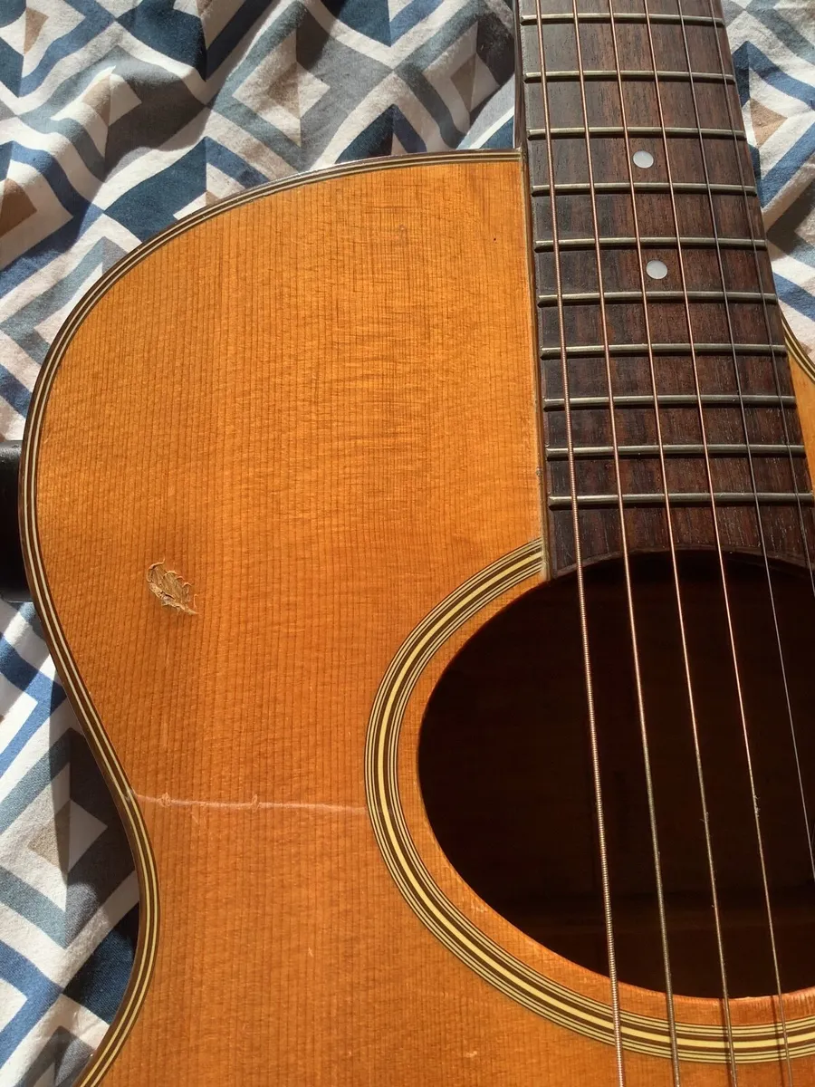 1986 Washburn Monterey - Image 4