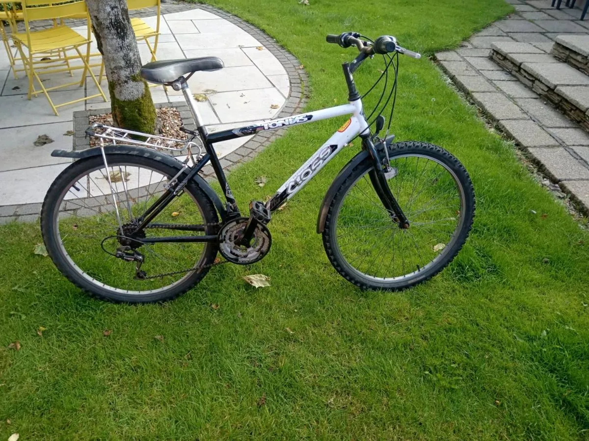 Mountain bike - Image 1