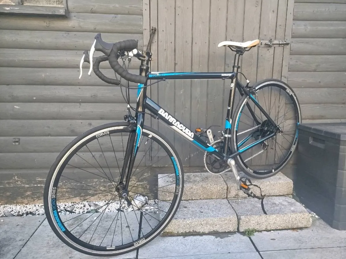 Barracuda corvus roadbike - must see - Image 1