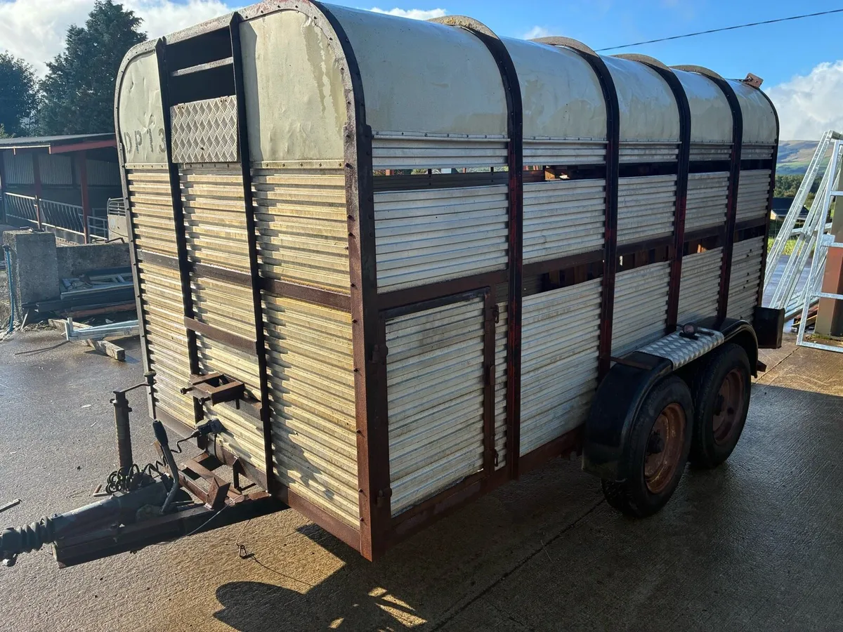 Hamilton cattle trailer - Image 3