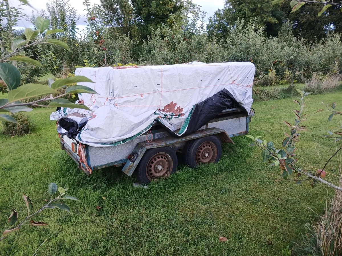 Turf trailer/Price Reduction - Image 3