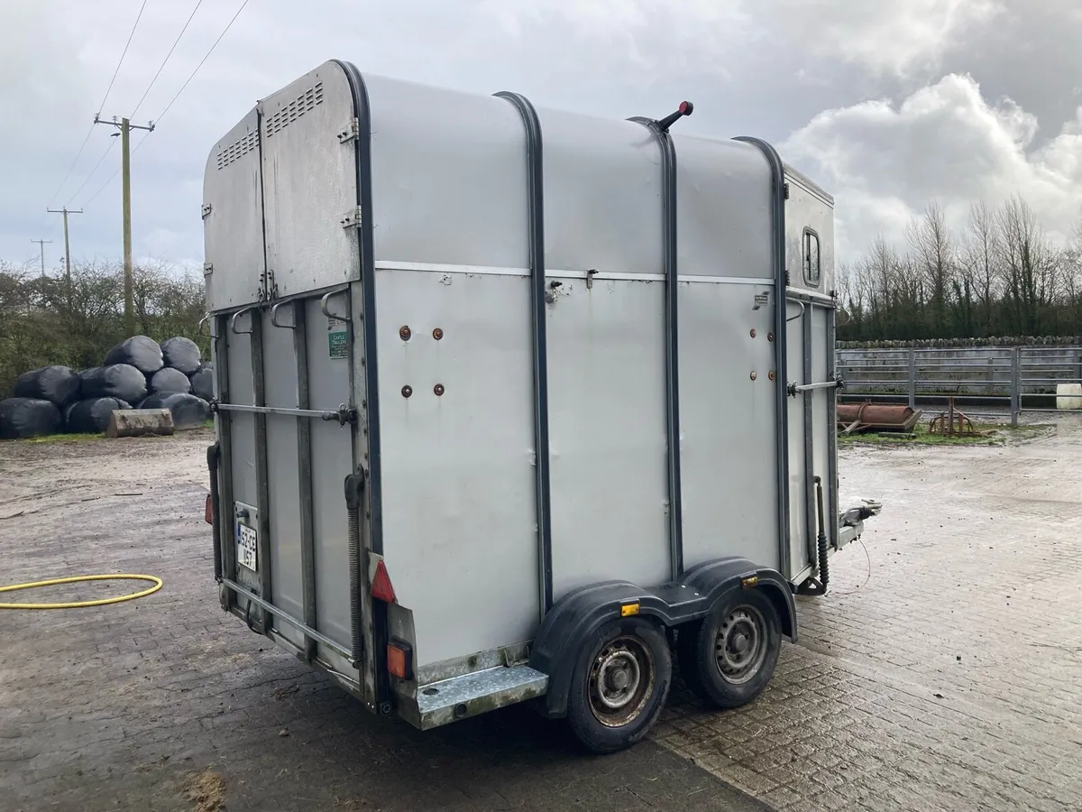 Ifor Williams 510 Classic Horsebox - Image 3