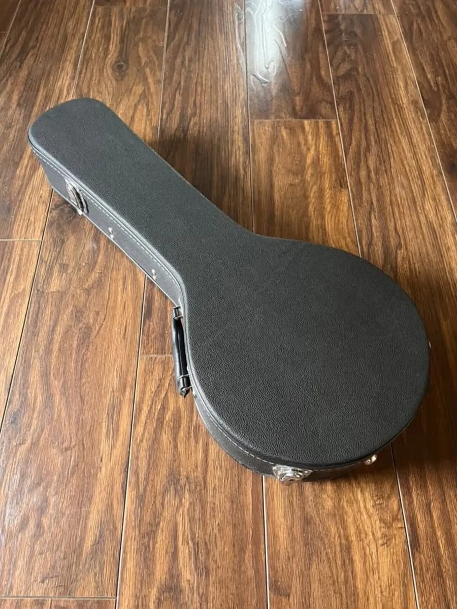 Mandolin - Image 2