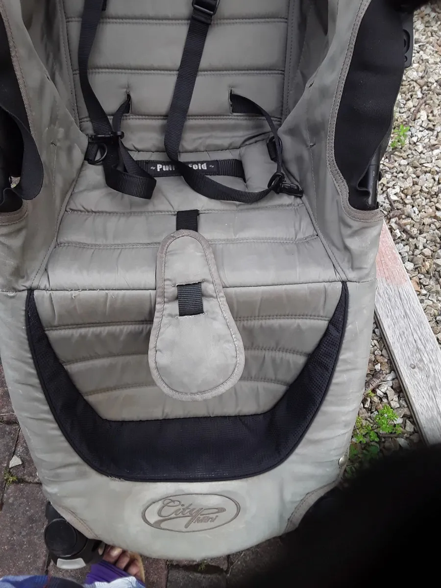 This is a strong sturdy buggy not a two-in-one - Image 2