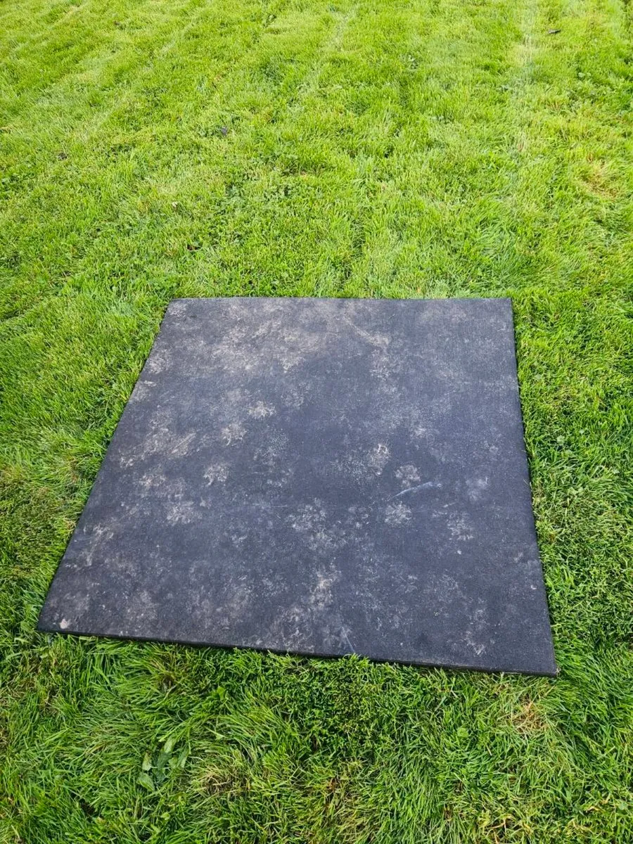 16 Gym mats for home gym - Image 1