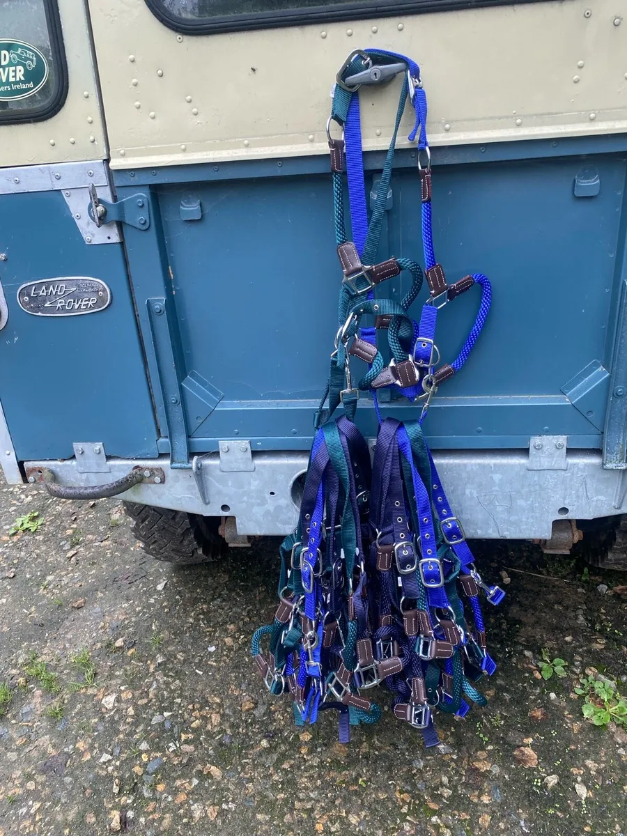Horse control head collars - Image 2
