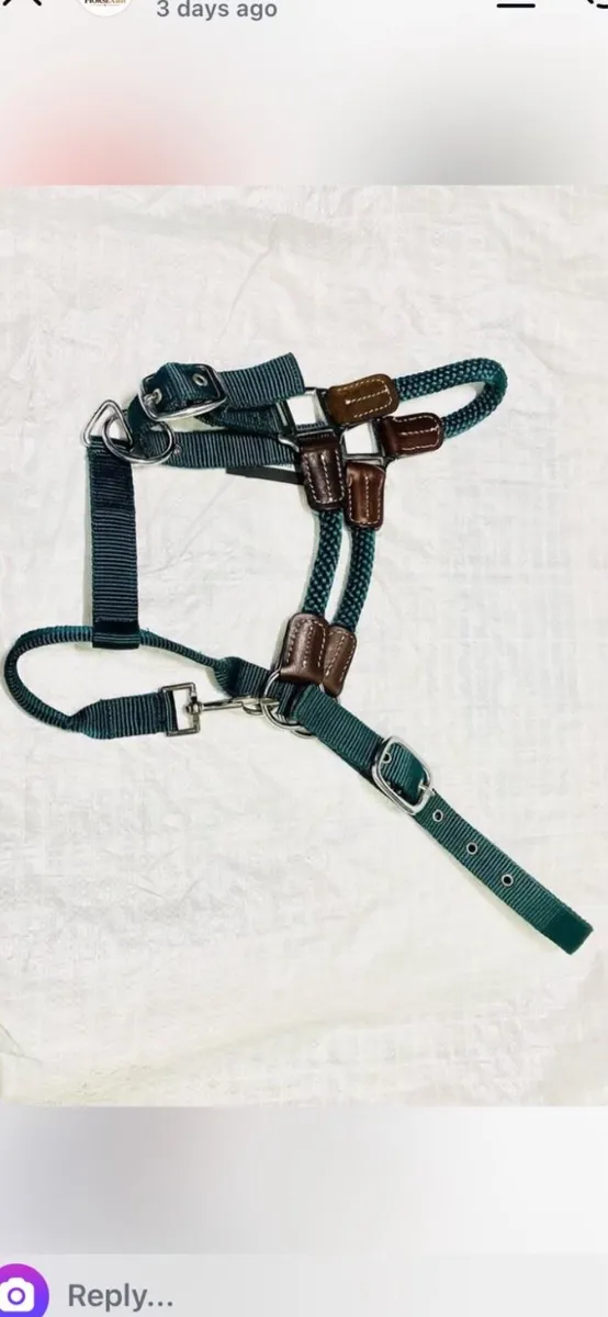 Horse control head collars - Image 4