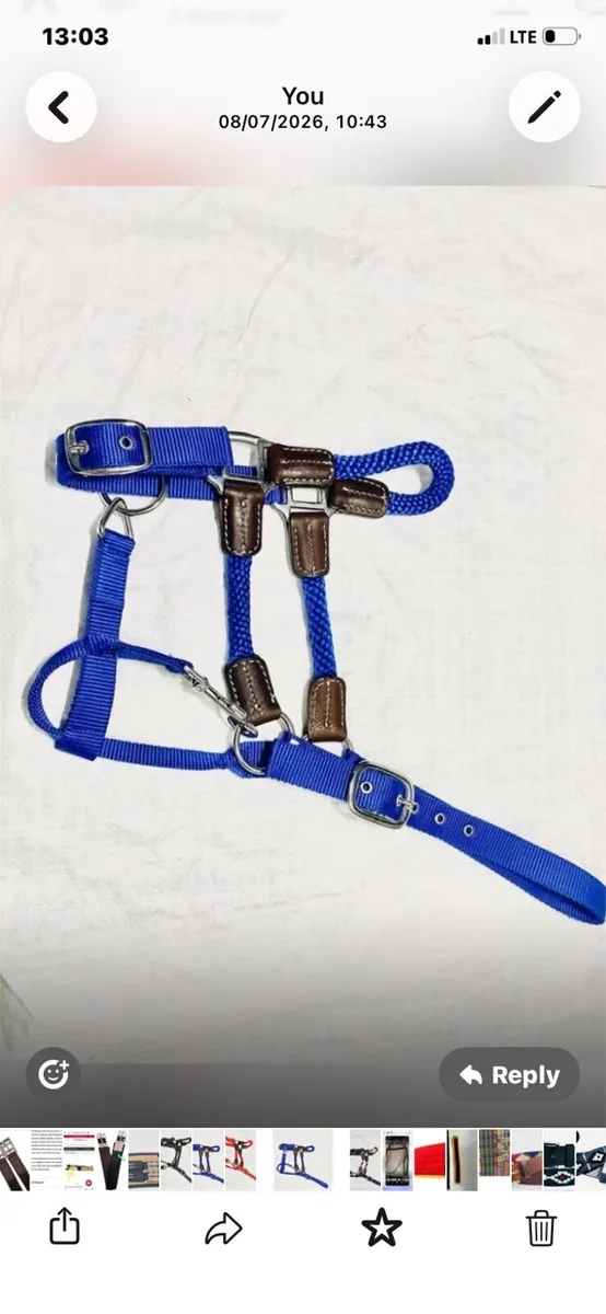Horse control head collars - Image 1