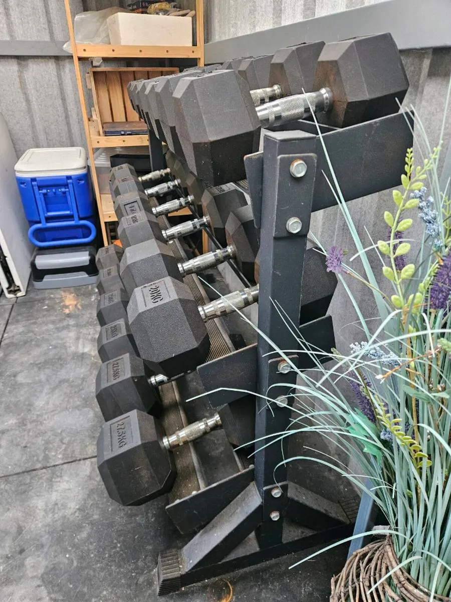 Rubber Dumbell Rack - sold pending collection - Image 4