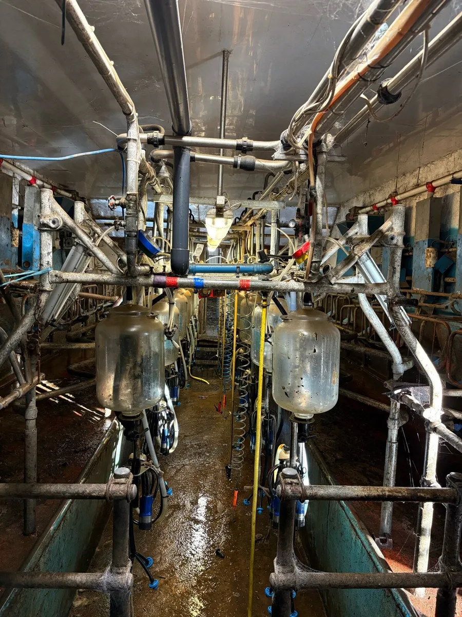 16 unit double-up DeLaval parlour - Image 3