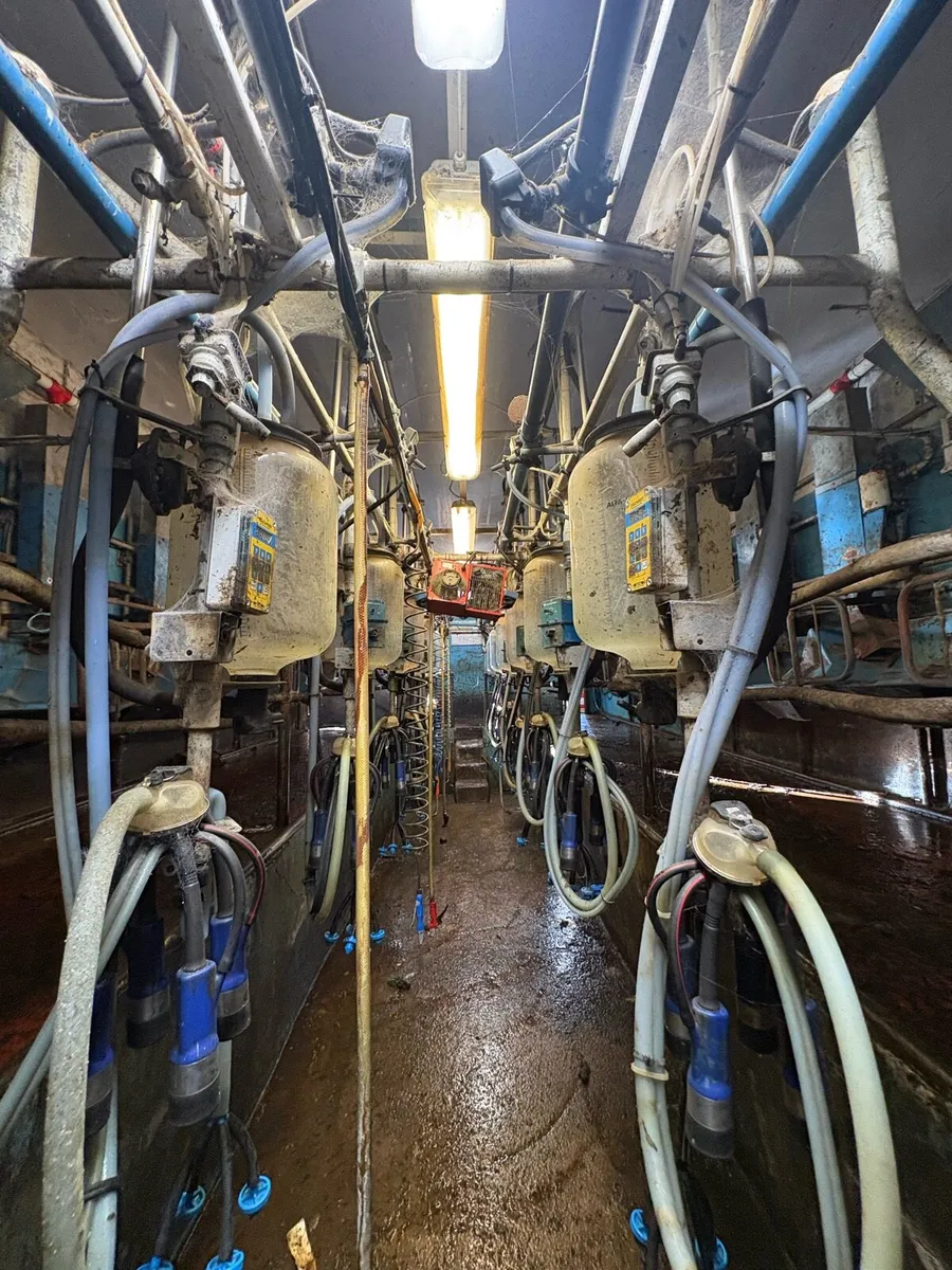 16 unit double-up DeLaval parlour - Image 4