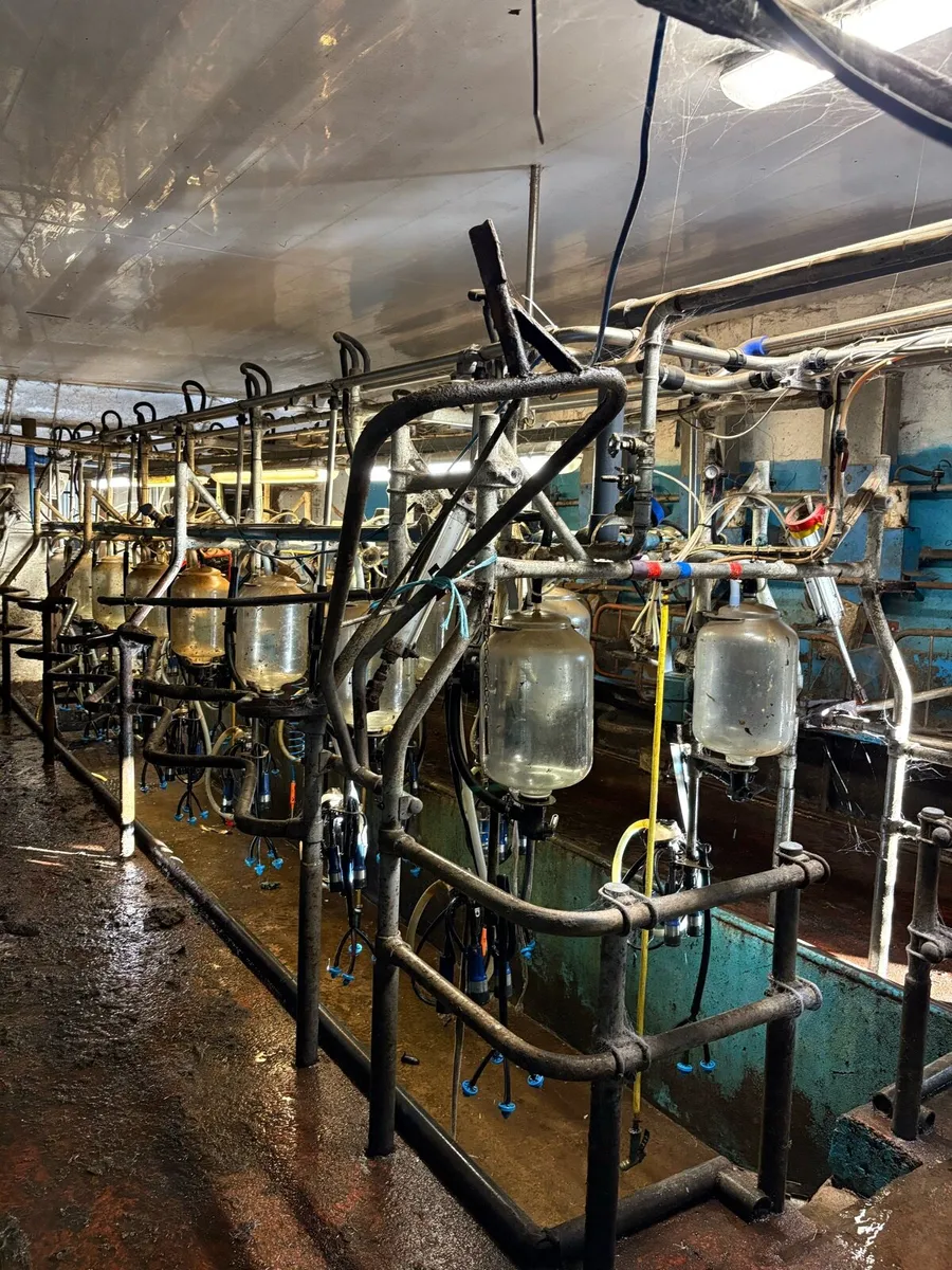 16 unit double-up DeLaval parlour - Image 1
