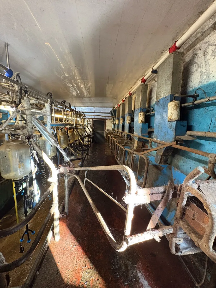 16 unit double-up DeLaval parlour - Image 2