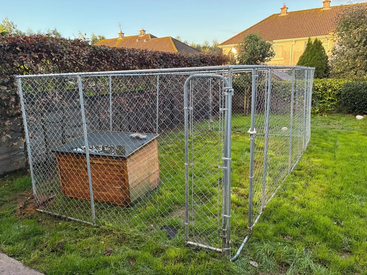 6m x 3m Dog Enclosure - Image 1