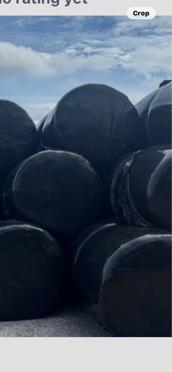 Silage bales