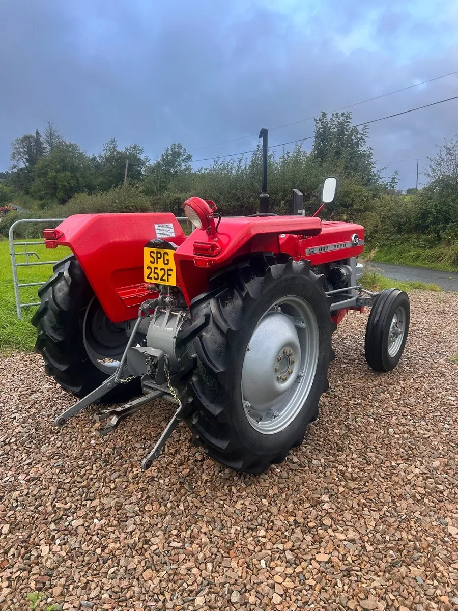 Massey Ferguson 135 - Image 3