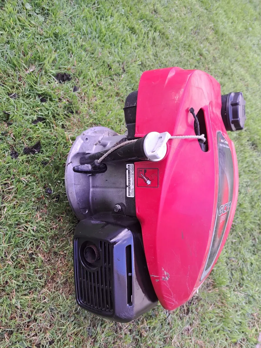 Lawnmower engine - Image 3