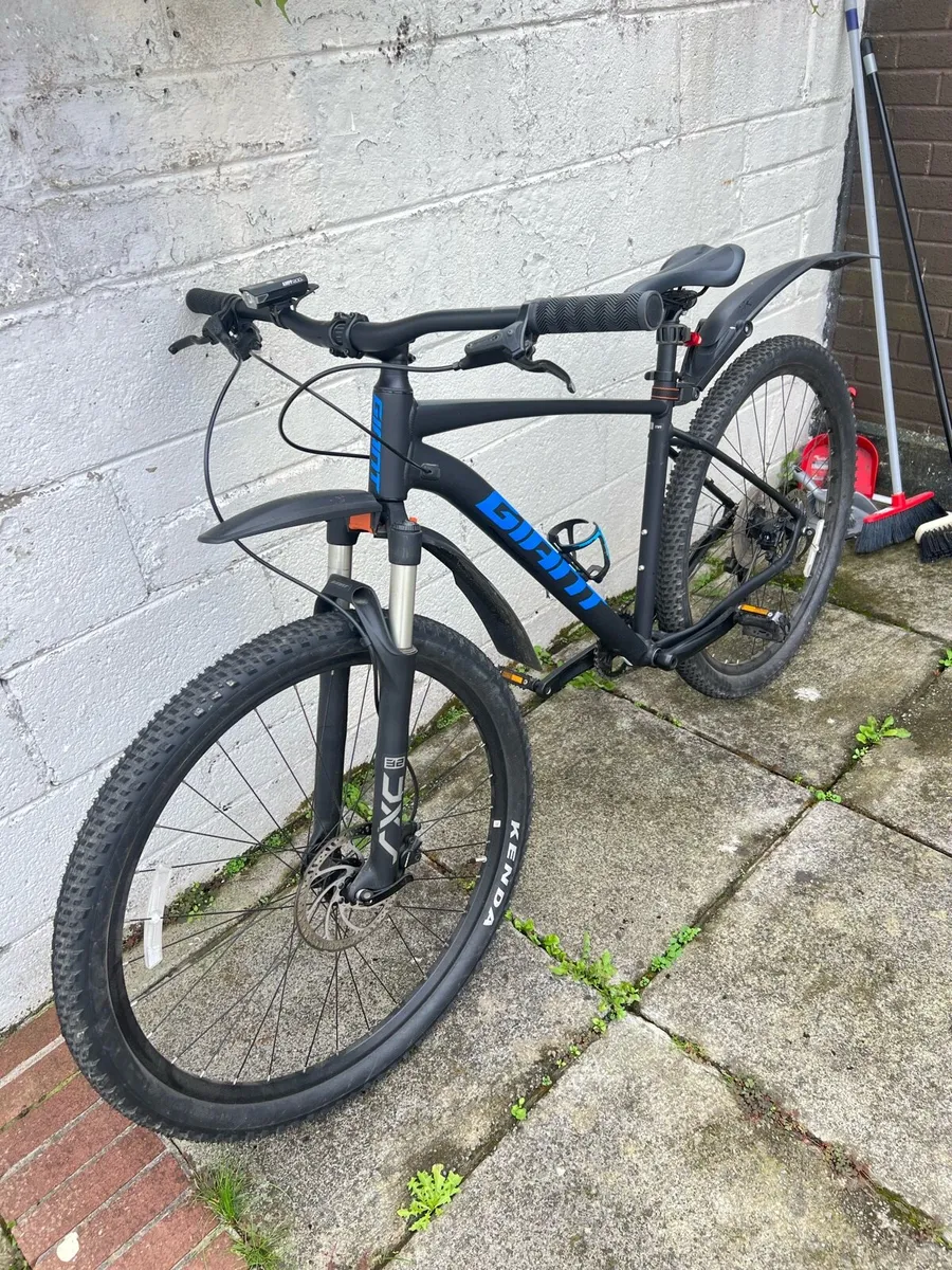 Giant Talon 1 2024 - Image 2