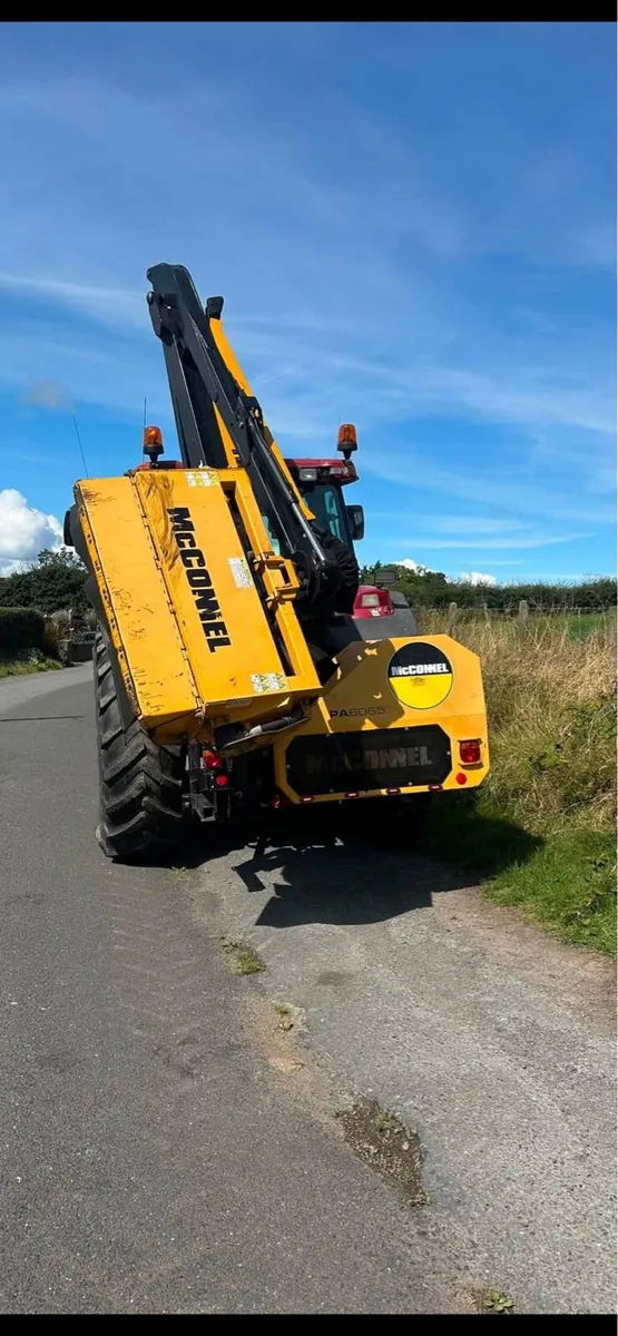 Hedge Cutting Service - Image 1