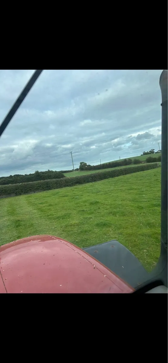 Hedge Cutting Service - Image 3