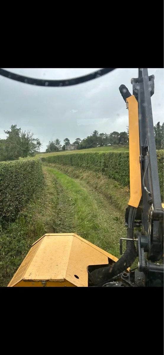 Hedge Cutting Service - Image 4