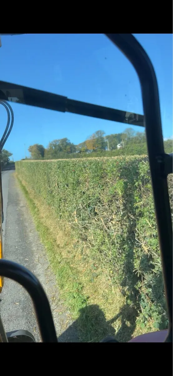 Hedge Cutting Service - Image 2