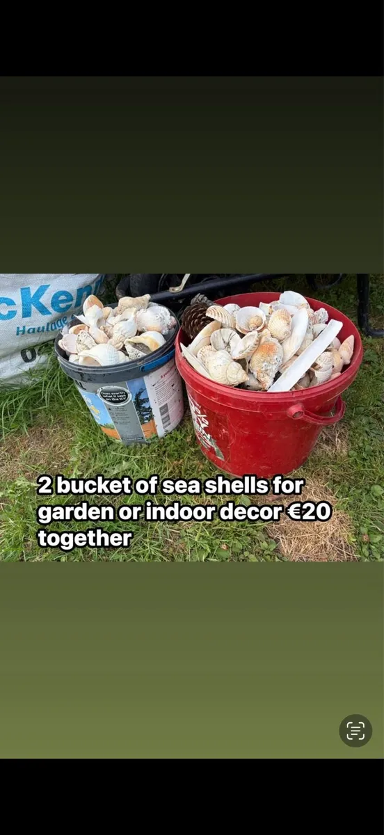 shells x2 bucket €20 - Image 1
