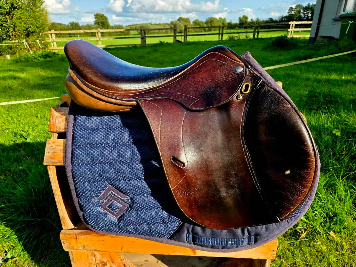 Pessoa legacy jump saddle - Image 4