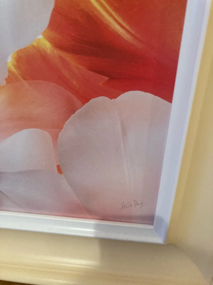 Large framed picture - Image 3